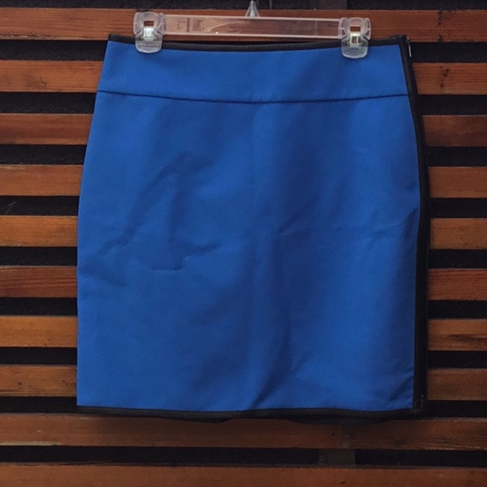 Ann Taylor Skirt